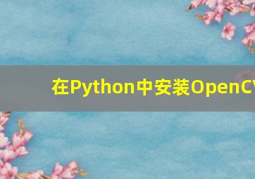 在Python中安装OpenCV