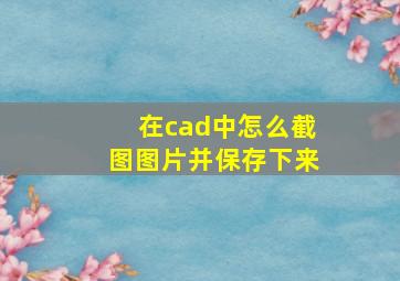 在cad中怎么截图图片并保存下来