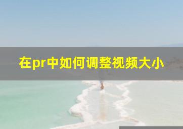 在pr中如何调整视频大小