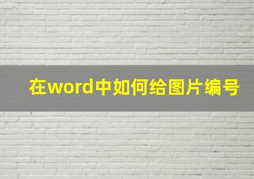 在word中如何给图片编号