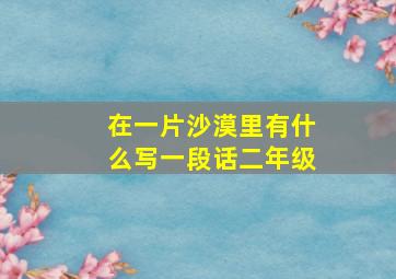 在一片沙漠里有什么写一段话二年级