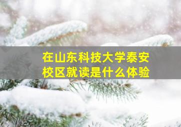 在山东科技大学泰安校区就读是什么体验