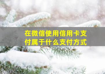 在微信使用信用卡支付属于什么支付方式