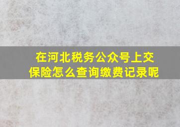 在河北税务公众号上交保险怎么查询缴费记录呢