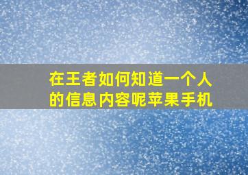 在王者如何知道一个人的信息内容呢苹果手机