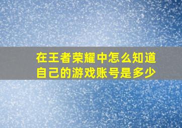 在王者荣耀中怎么知道自己的游戏账号是多少