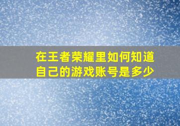 在王者荣耀里如何知道自己的游戏账号是多少