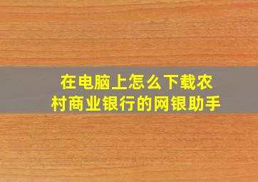 在电脑上怎么下载农村商业银行的网银助手