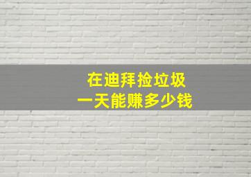 在迪拜捡垃圾一天能赚多少钱