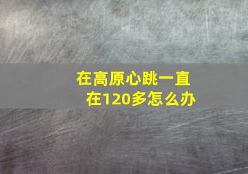 在高原心跳一直在120多怎么办