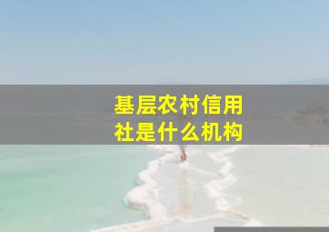 基层农村信用社是什么机构