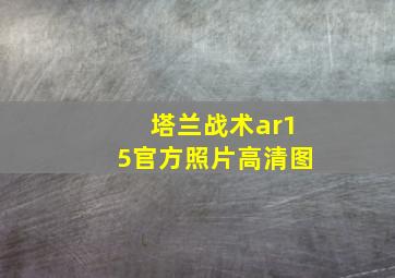 塔兰战术ar15官方照片高清图