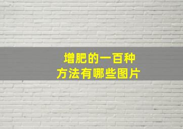 增肥的一百种方法有哪些图片