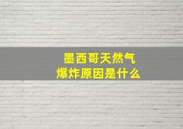 墨西哥天然气爆炸原因是什么