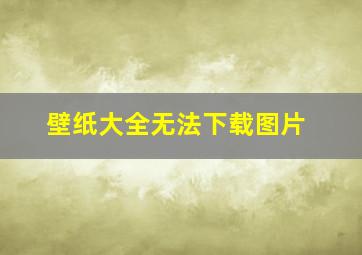 壁纸大全无法下载图片