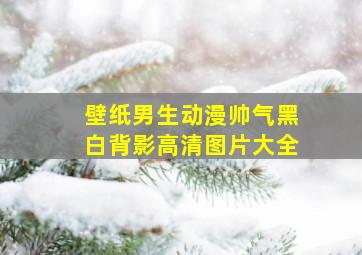 壁纸男生动漫帅气黑白背影高清图片大全