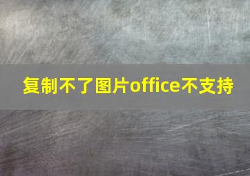 复制不了图片office不支持