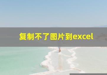 复制不了图片到excel