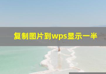 复制图片到wps显示一半