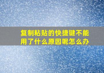 复制粘贴的快捷键不能用了什么原因呢怎么办