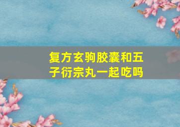 复方玄驹胶囊和五子衍宗丸一起吃吗