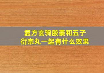 复方玄驹胶囊和五子衍宗丸一起有什么效果