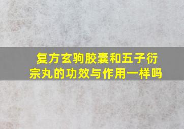 复方玄驹胶囊和五子衍宗丸的功效与作用一样吗