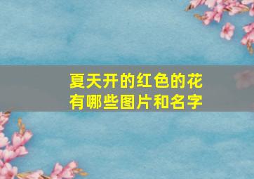 夏天开的红色的花有哪些图片和名字