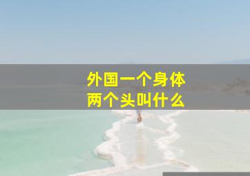 外国一个身体两个头叫什么