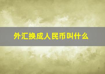 外汇换成人民币叫什么