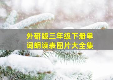 外研版三年级下册单词朗读表图片大全集