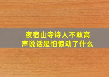 夜宿山寺诗人不敢高声说话是怕惊动了什么