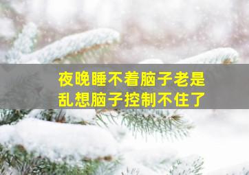 夜晚睡不着脑子老是乱想脑子控制不住了