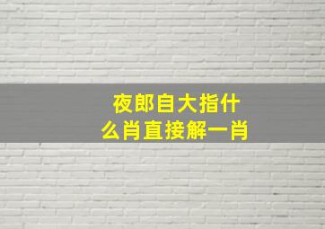 夜郎自大指什么肖直接解一肖