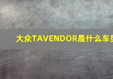 大众TAVENDOR是什么车型