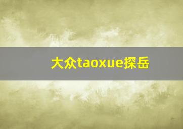 大众taoxue探岳