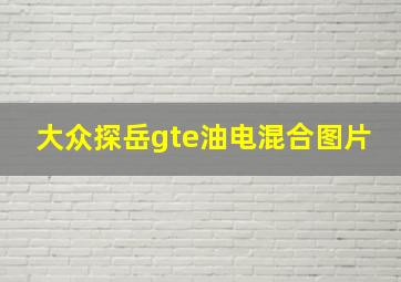 大众探岳gte油电混合图片