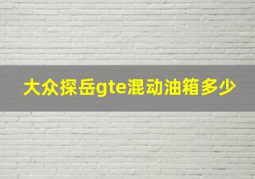 大众探岳gte混动油箱多少