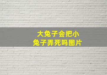 大兔子会把小兔子弄死吗图片