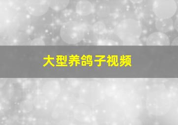 大型养鸽子视频