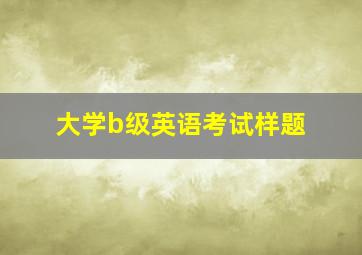 大学b级英语考试样题