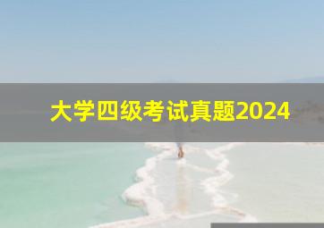 大学四级考试真题2024