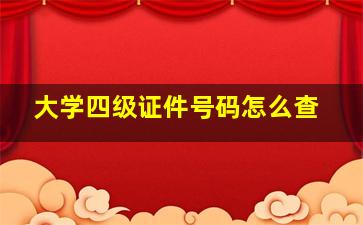 大学四级证件号码怎么查