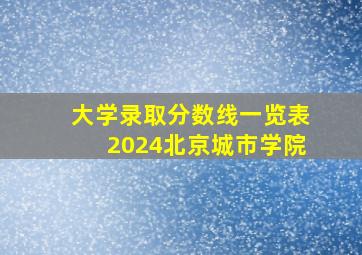 大学录取分数线一览表2024北京城市学院