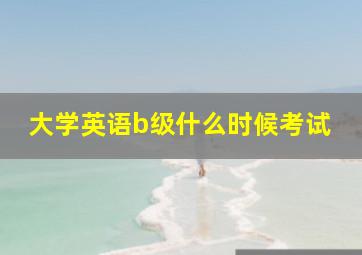 大学英语b级什么时候考试