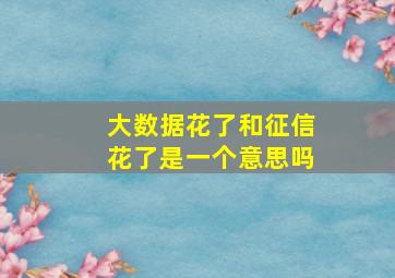 大数据花了和征信花了是一个意思吗