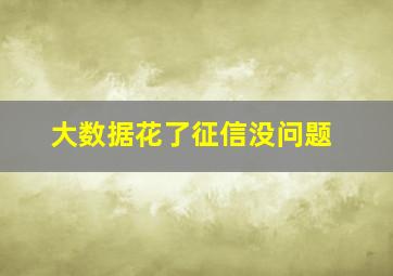 大数据花了征信没问题