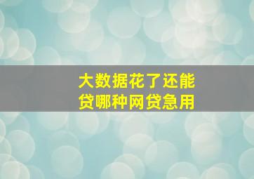 大数据花了还能贷哪种网贷急用