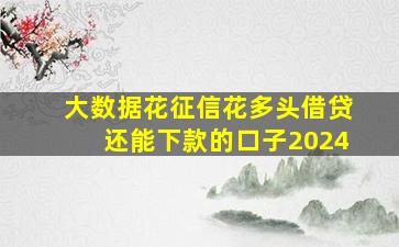 大数据花征信花多头借贷还能下款的口子2024