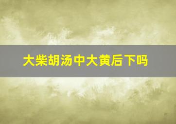 大柴胡汤中大黄后下吗